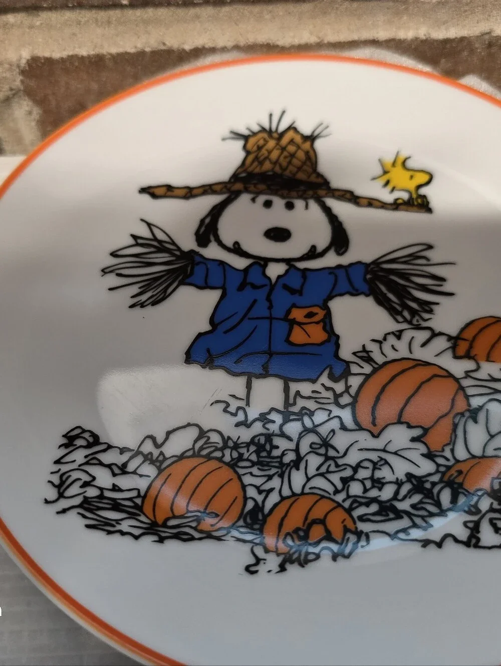 NEW 4 Peanuts Snoopy FALL * HALLOWEEN Appetizer Dessert Plates 6
